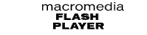 Flash